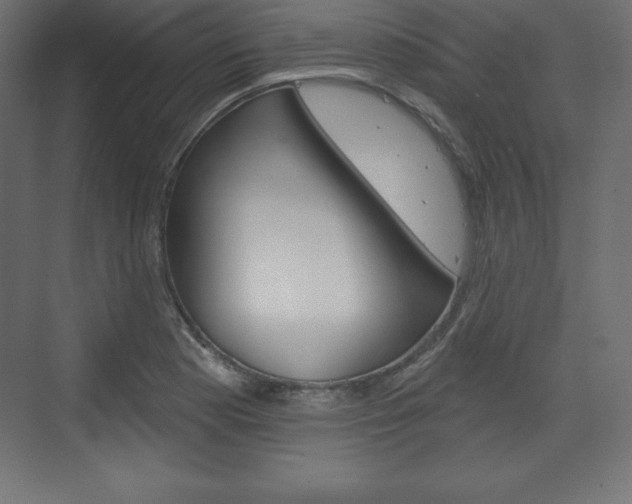 X0000073991177200608211034