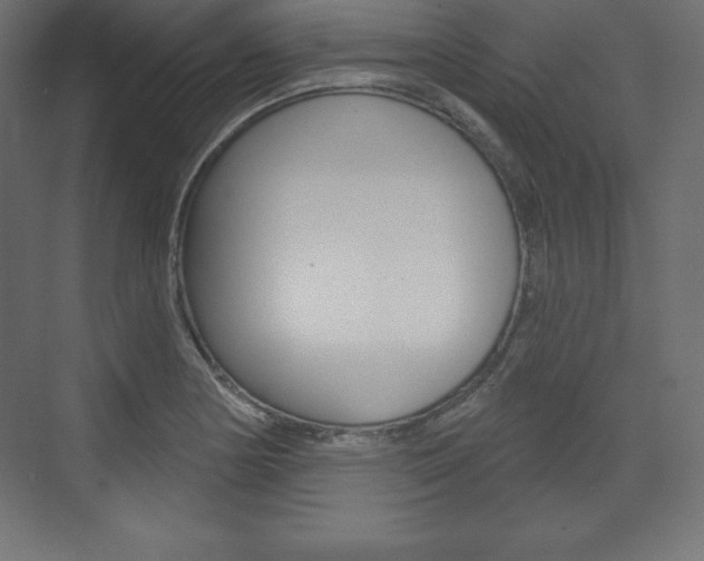 X0000073991178200608211034