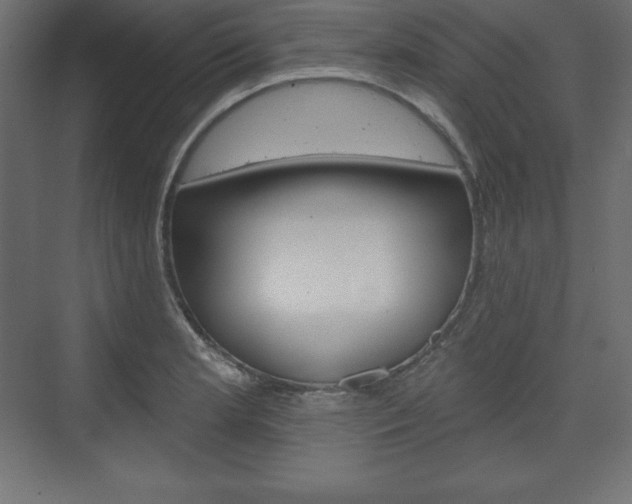 X0000073991181200608211034