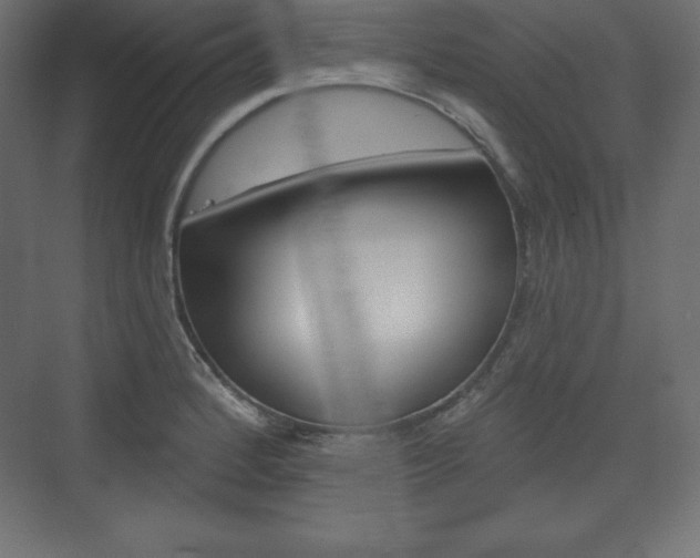 X0000073991184200608211034