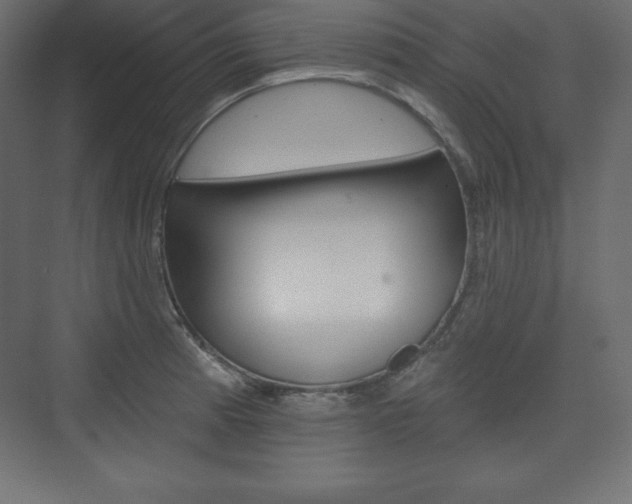 X0000073991185200608211034