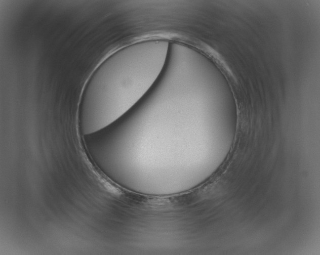 X0000073991186200608211034