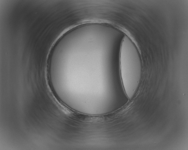 X0000073991187200608211034