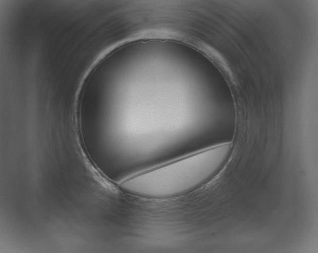 X0000073991192200608211034