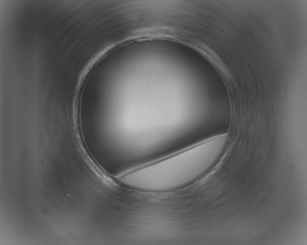 X0000073991196200608211034
