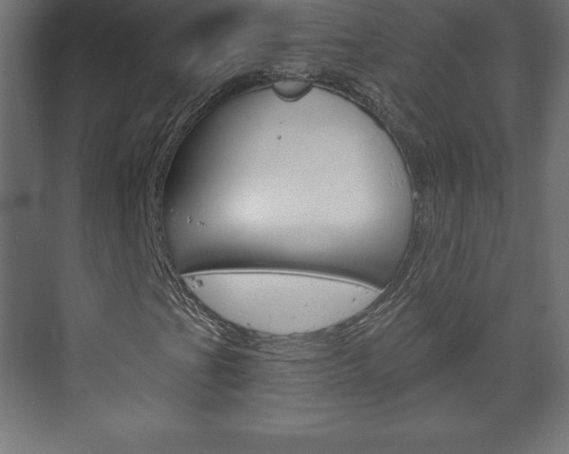 X0000073991201200608211033