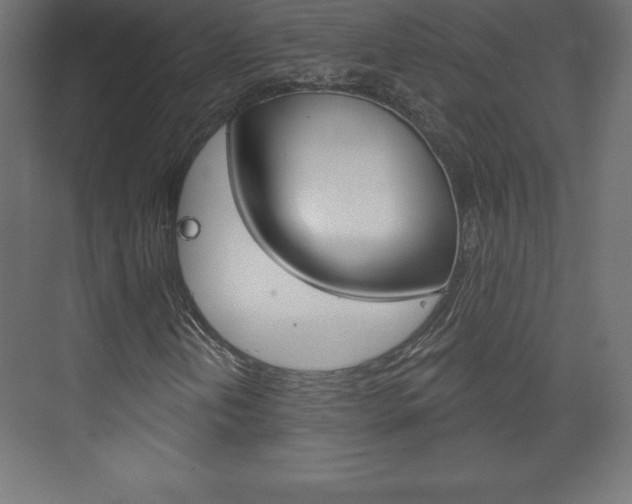 X0000073991202200608211033