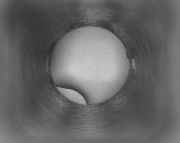 X0000073991203200608211033