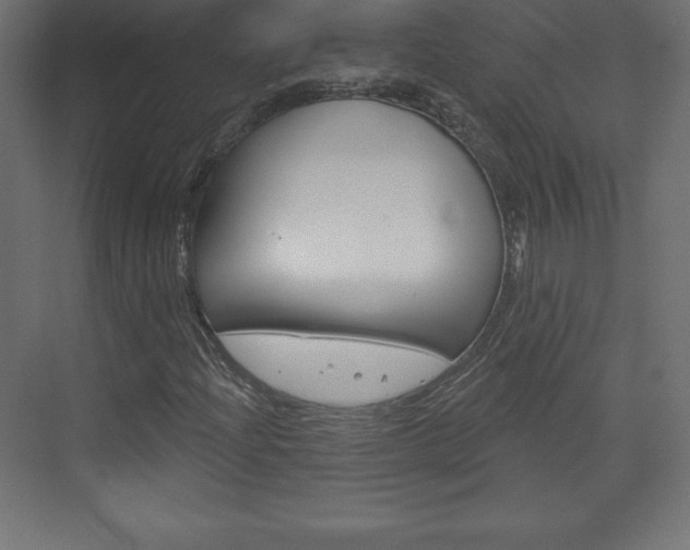 X0000073991204200608211033