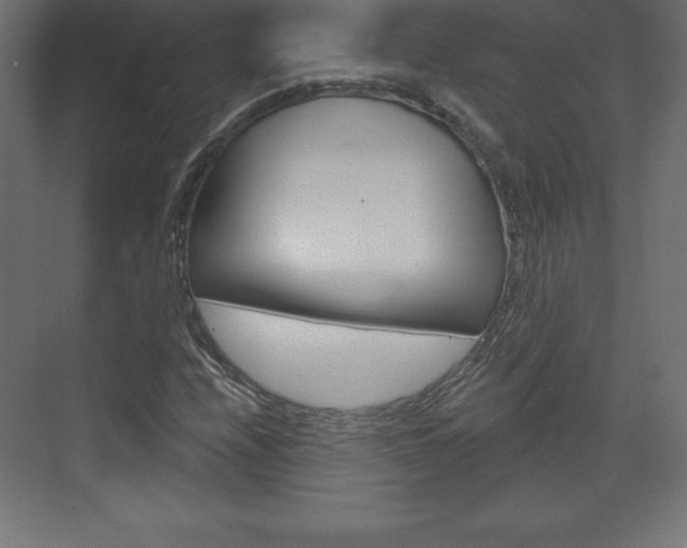 X0000073991208200608211033