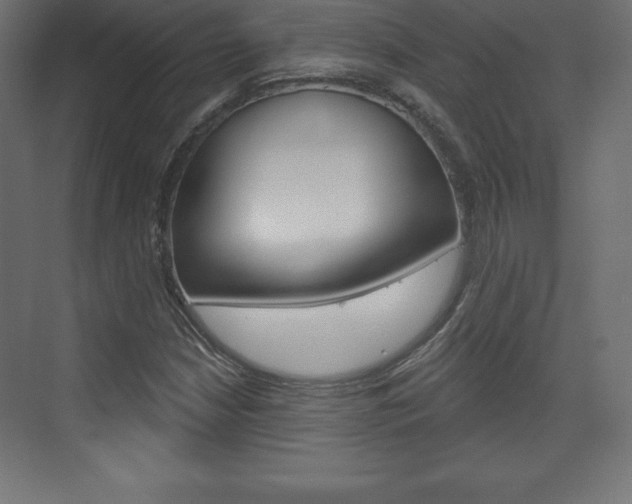 X0000073991210200608211033