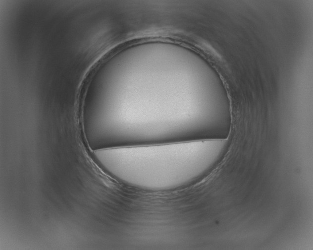 X0000073991216200608211033
