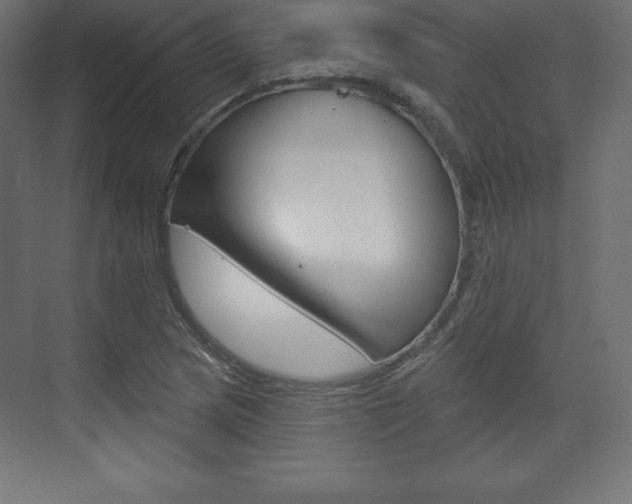 X0000073991217200608211033