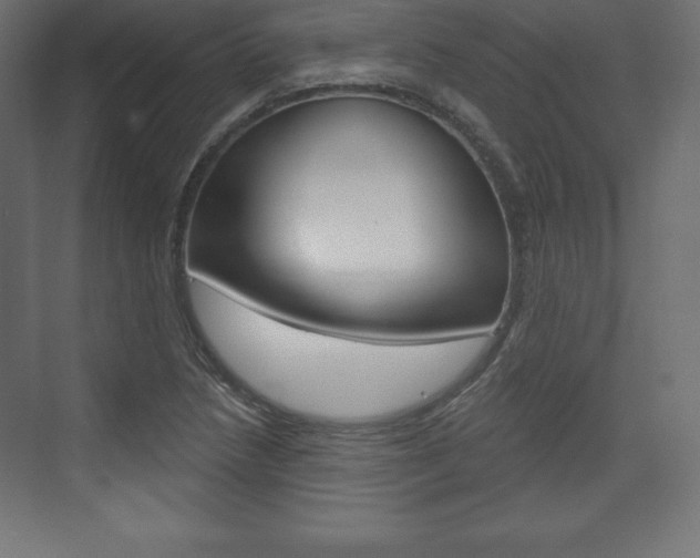 X0000073991218200608211033