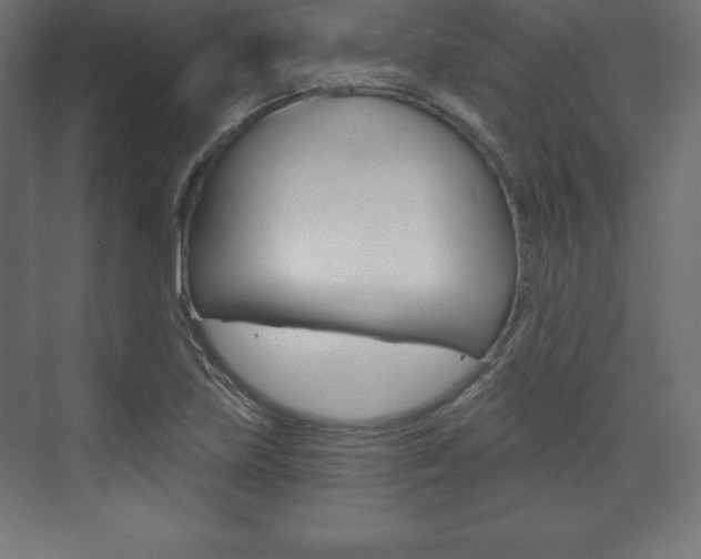 X0000073991219200608211033