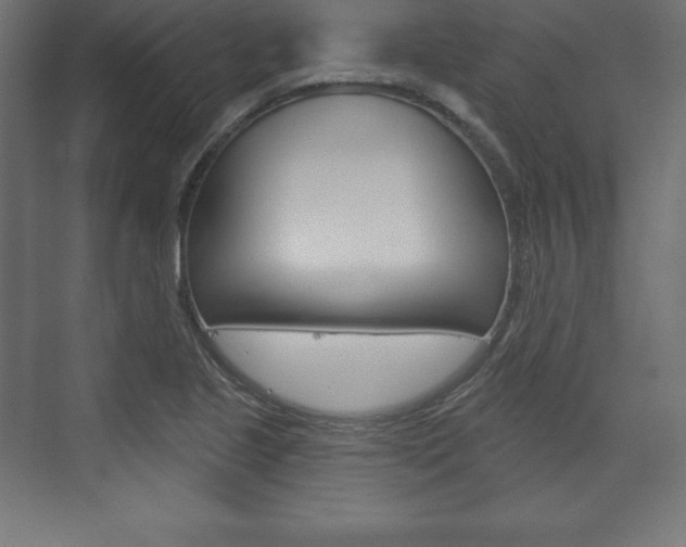 X0000073991221200608211033