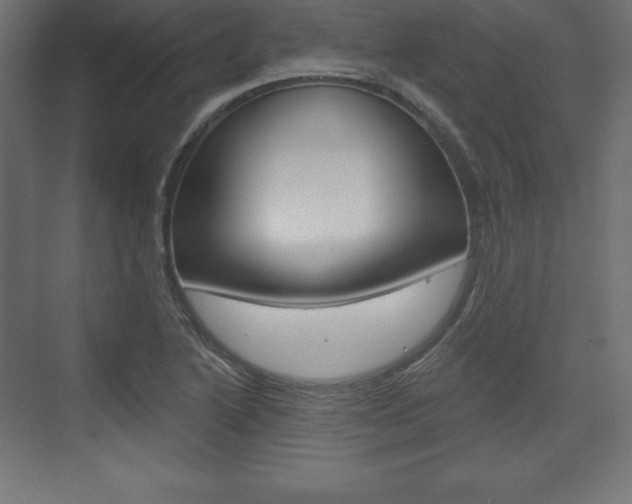 X0000073991222200608211033