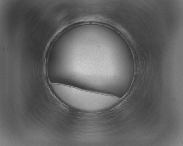 X0000073991224200608211033