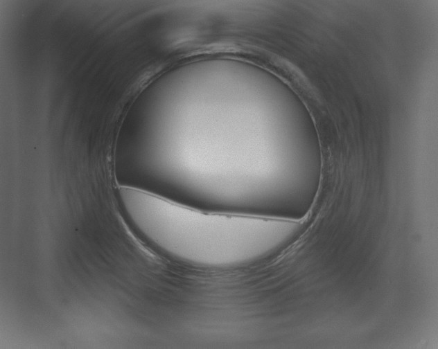 X0000073991225200608211033