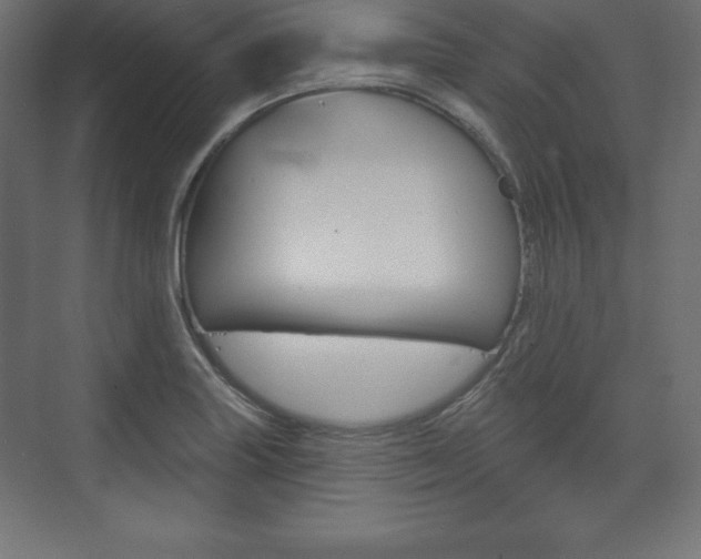 X0000073991227200608211033