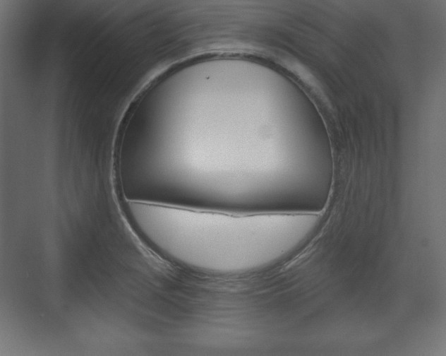 X0000073991229200608211033