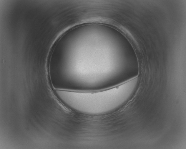 X0000073991230200608211033