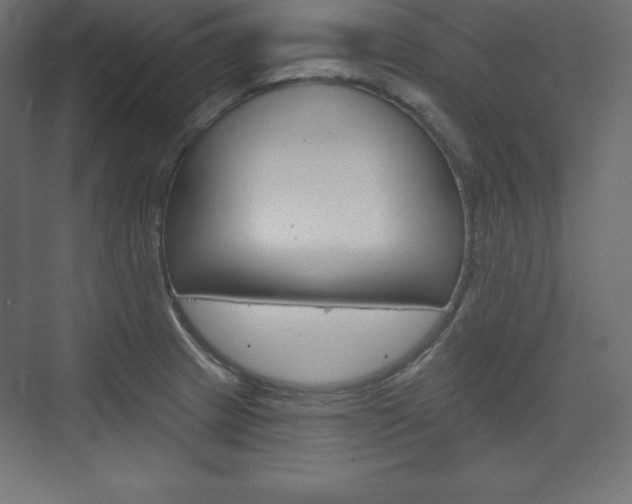 X0000073991233200608211033