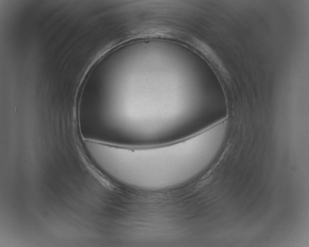 X0000073991234200608211033