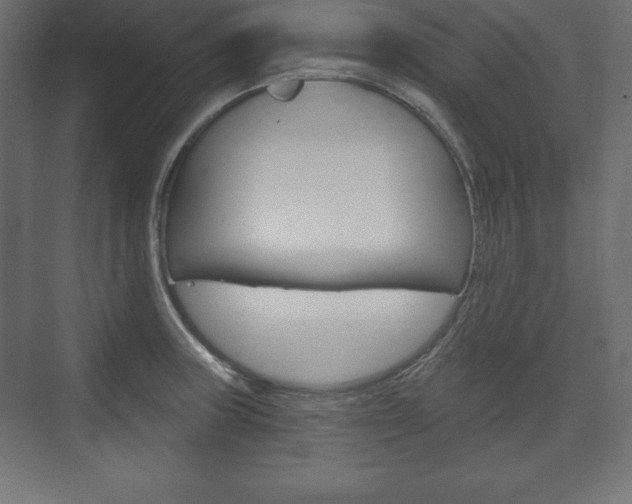 X0000073991235200608211033