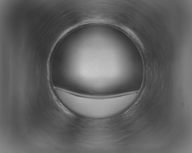 X0000073991238200608211033