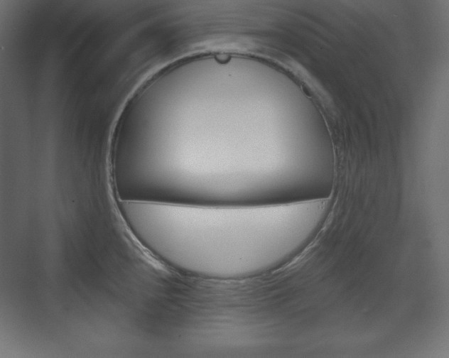 X0000073991240200608211033