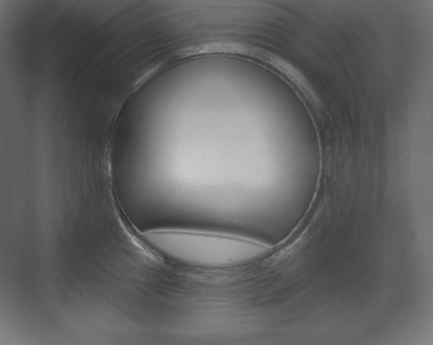 X0000073991241200608211034