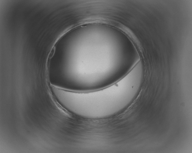 X0000073991242200608211034