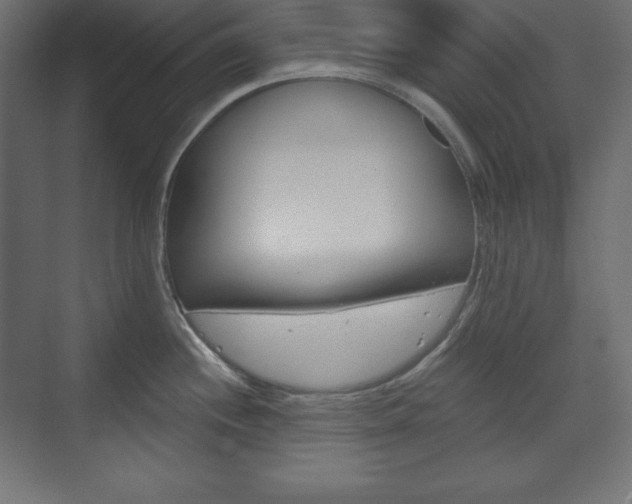 X0000073991244200608211034
