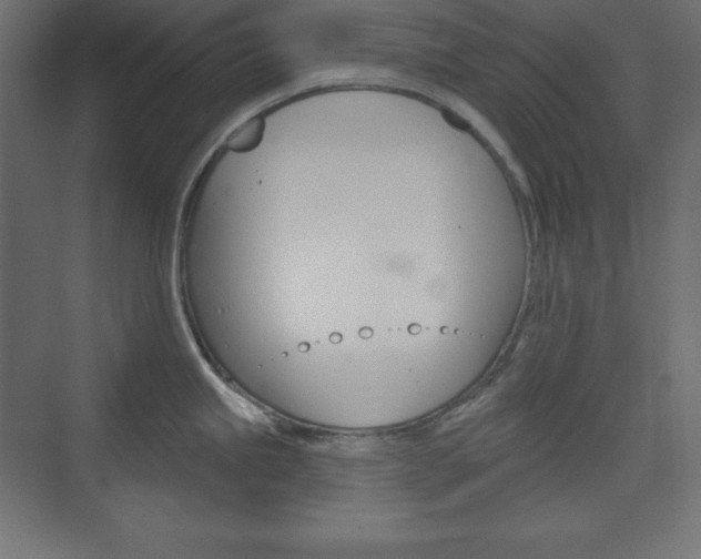 X0000073991245200608211034