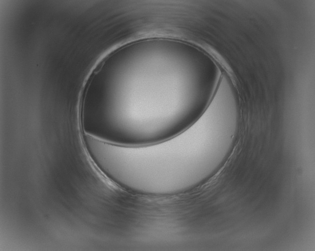 X0000073991246200608211034