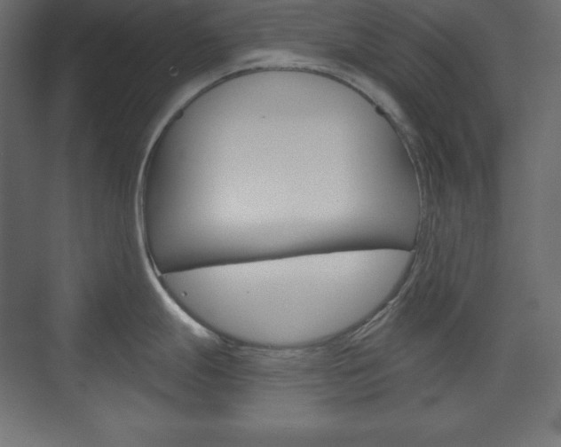 X0000073991247200608211034