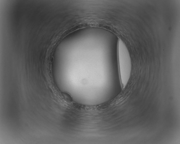X0000073991249200608211033