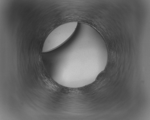 X0000073991250200608211033