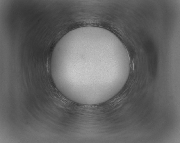 X0000073991251200608211033