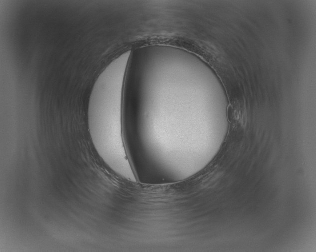 X0000073991252200608211033