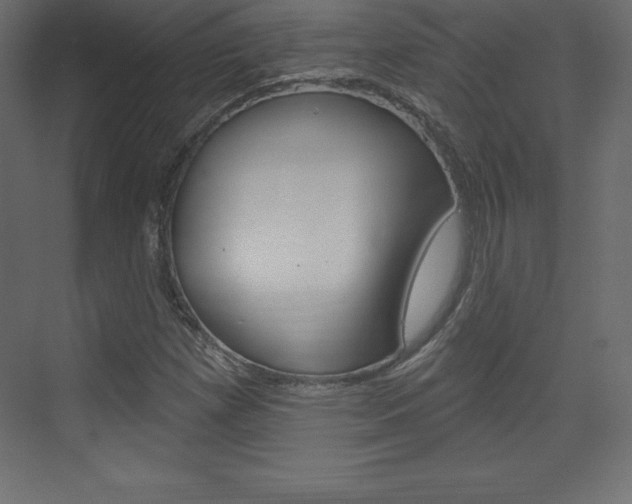 X0000073991257200608211033