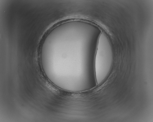 X0000073991264200608211033