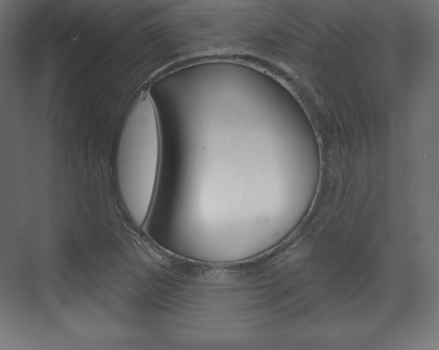 X0000073991265200608211033
