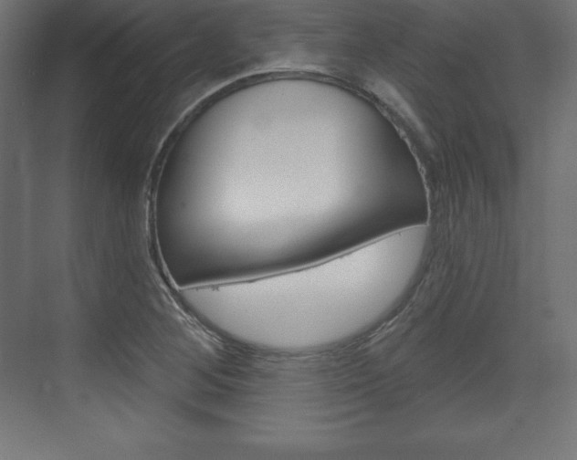 X0000073991268200608211032