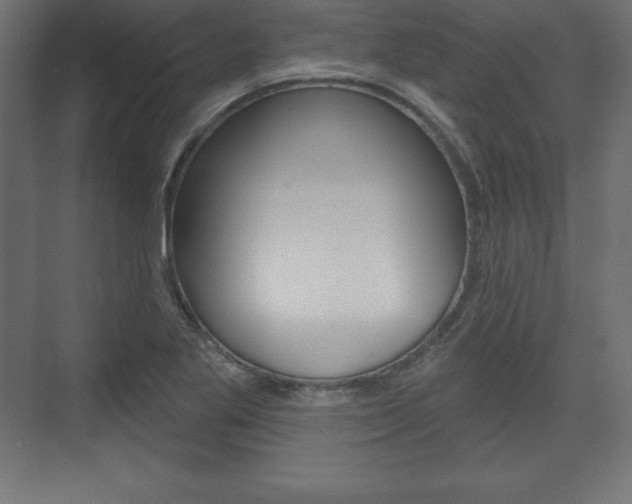 X0000073991269200608211032