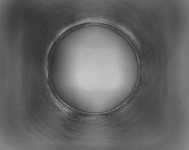 X0000073991272200608211032