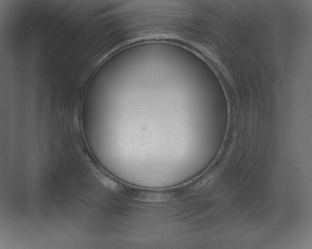 X0000073991273200608211032