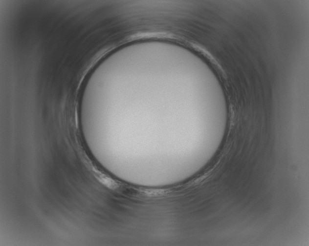 X0000073991274200608211032