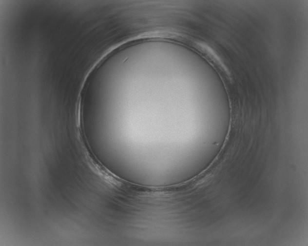 X0000073991276200608211032